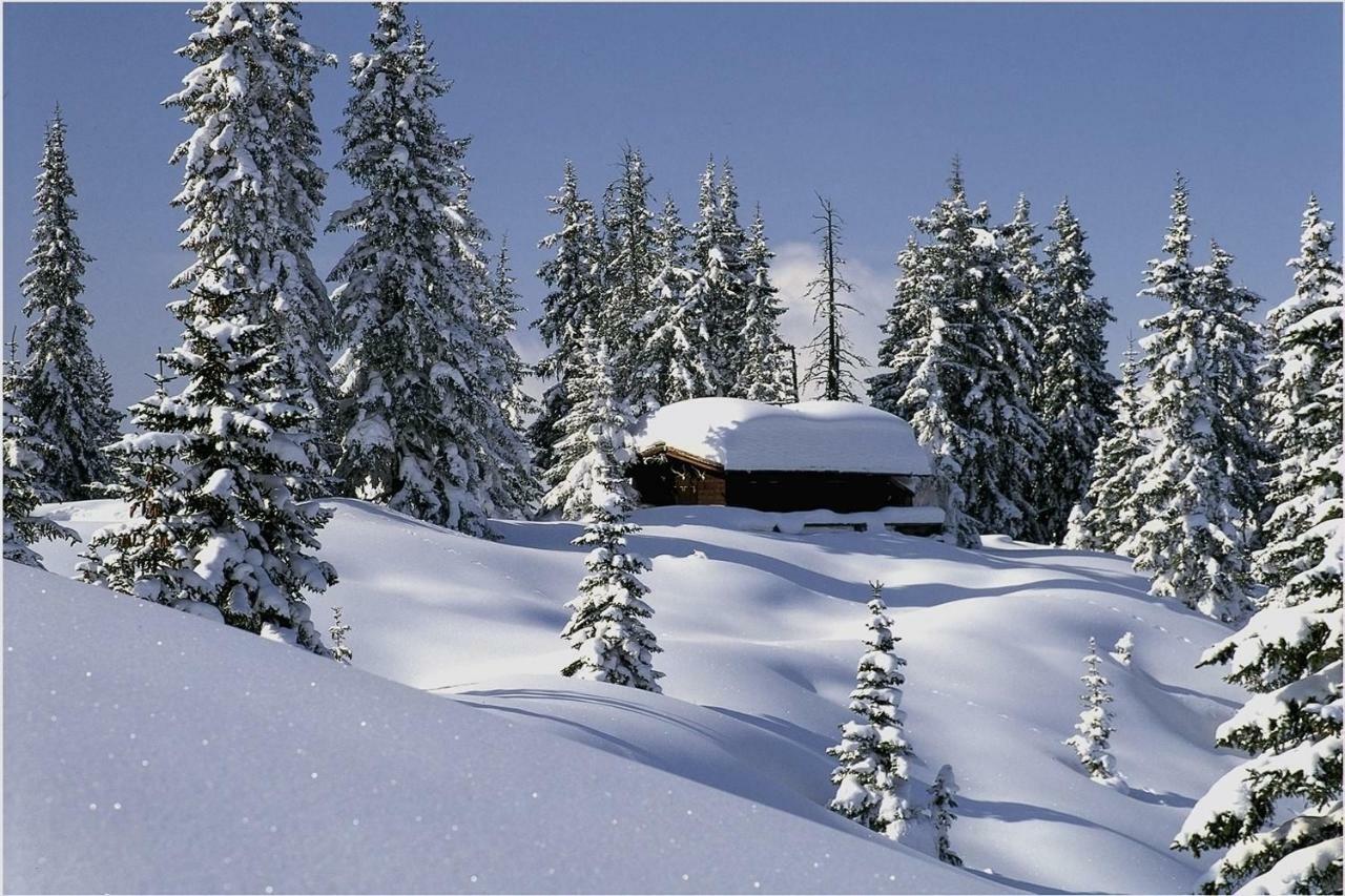 Haus Zur Kapelle Villa Sankt Gallenkirch Kültér fotó